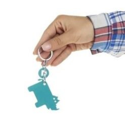 ميدالية متر